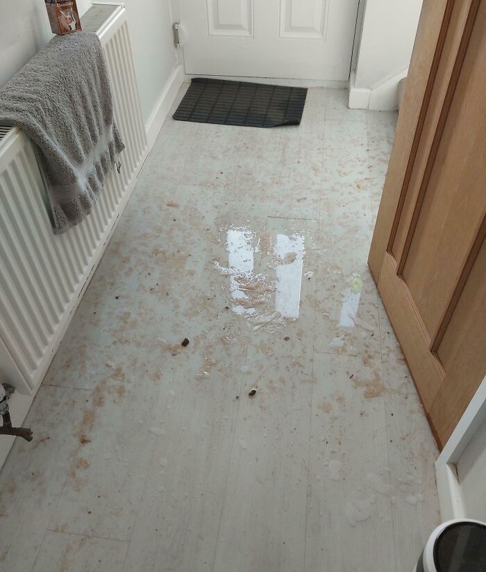 Mildly infuriating dirty water spill on kitchen floor near door, testing people's patience with the mess to clean up.