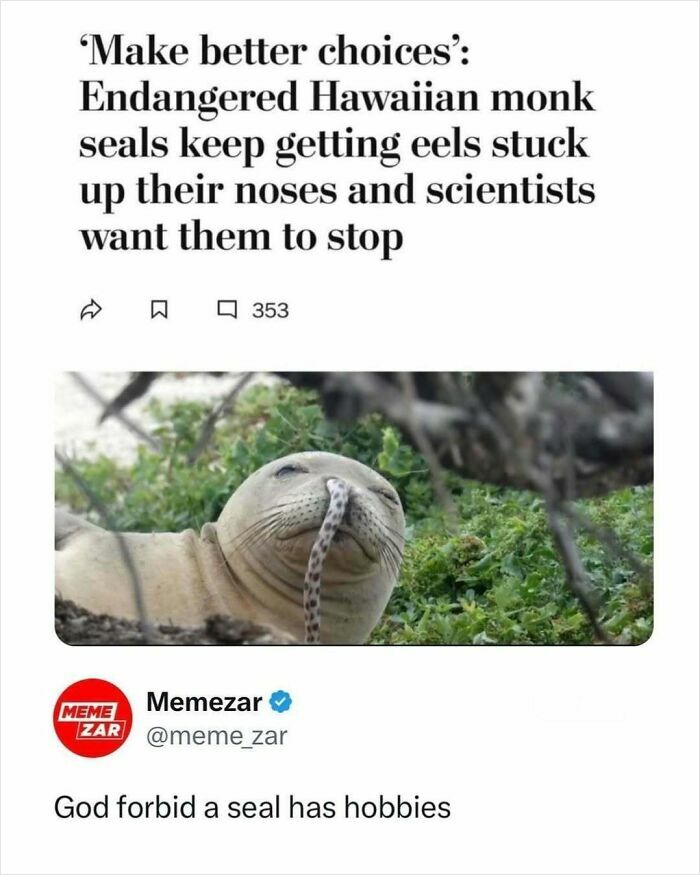 Animal-Humor-Pics-Animalxhumor