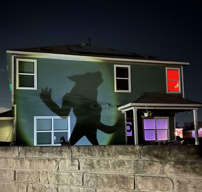 Large werewolf shadow Halloween decoration projected on green house wall as proud outdoor Halloween decorations at night.