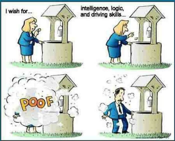 Cartoon meme of a woman wishing for intelligence, logic, and driving skills with a surprising whimsical twist.