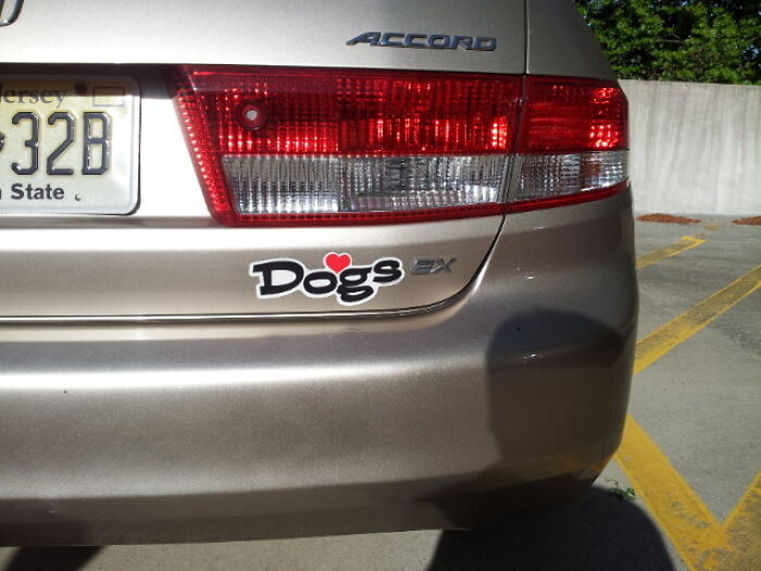 Car rear bumper with a funny Dogs sticker, captured as part of accidental comedy in seemingly harmless moments.