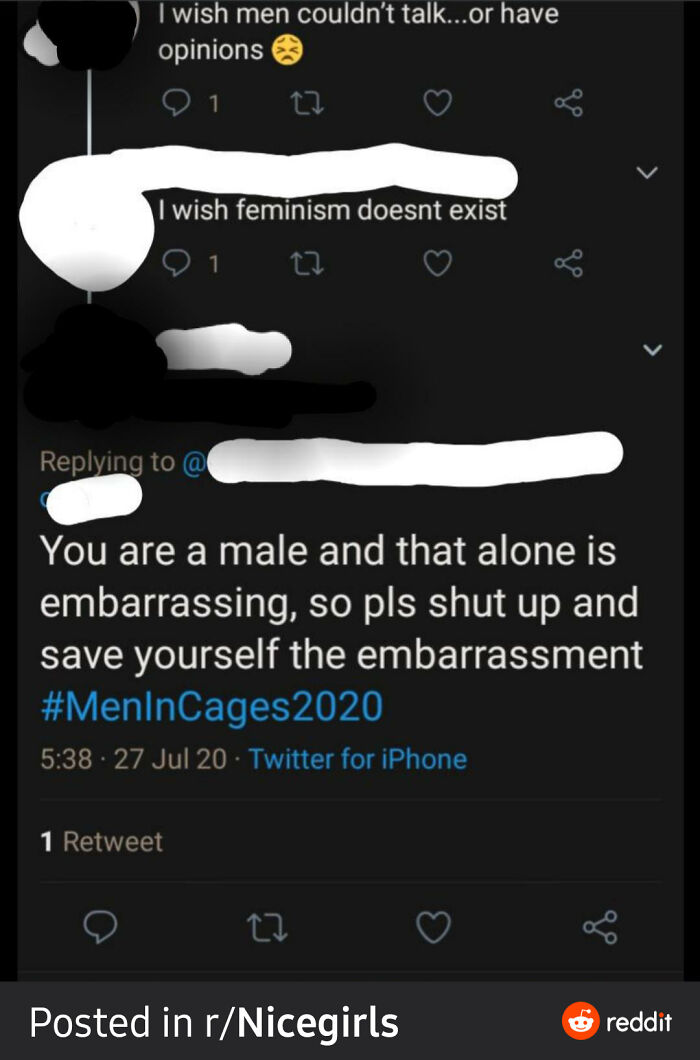 Screenshot of an unhinged Twitter exchange showing controversial statements from women about men and feminism.