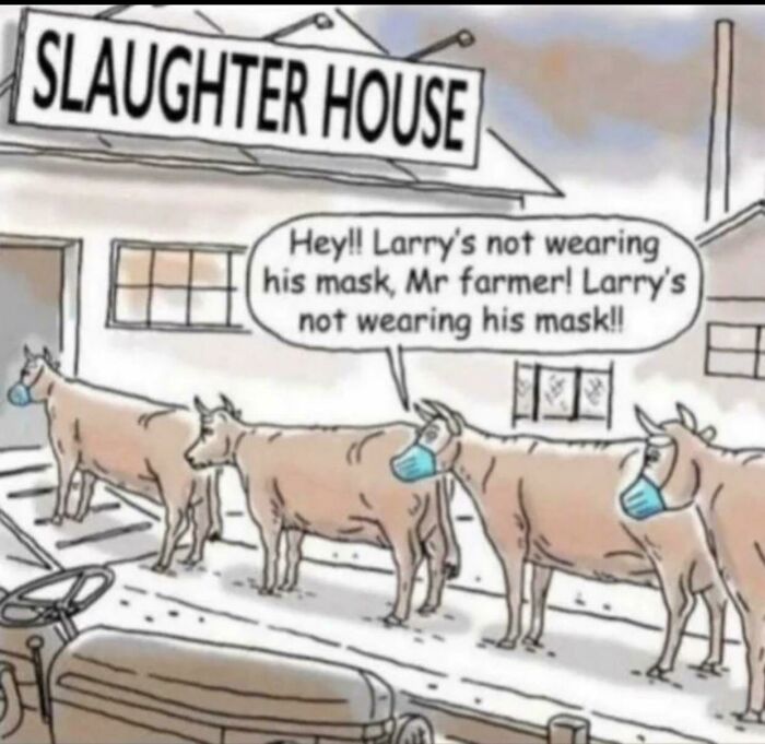 Cows wearing masks in front of a slaughterhouse, one cow alerts farmer that Larry is not wearing his mask meme.