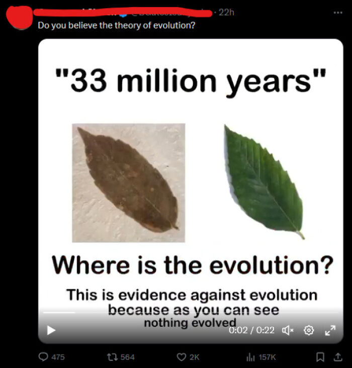Meme questioning the theory of evolution with two leaves, highlighting how memes reveal a lot about a person.
