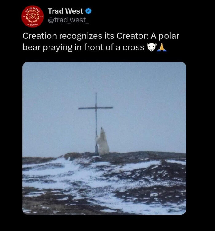 Twitter meme showing a polar bear praying in front of a cross, highlighting infuriating memes people share.