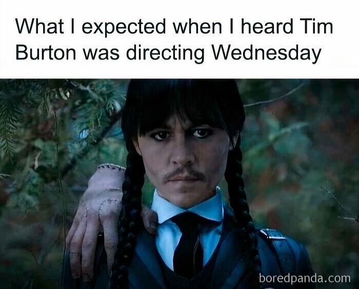 Person dressed as Wednesday Addams with braids and dark makeup, representing a meme from a popular movie direction.