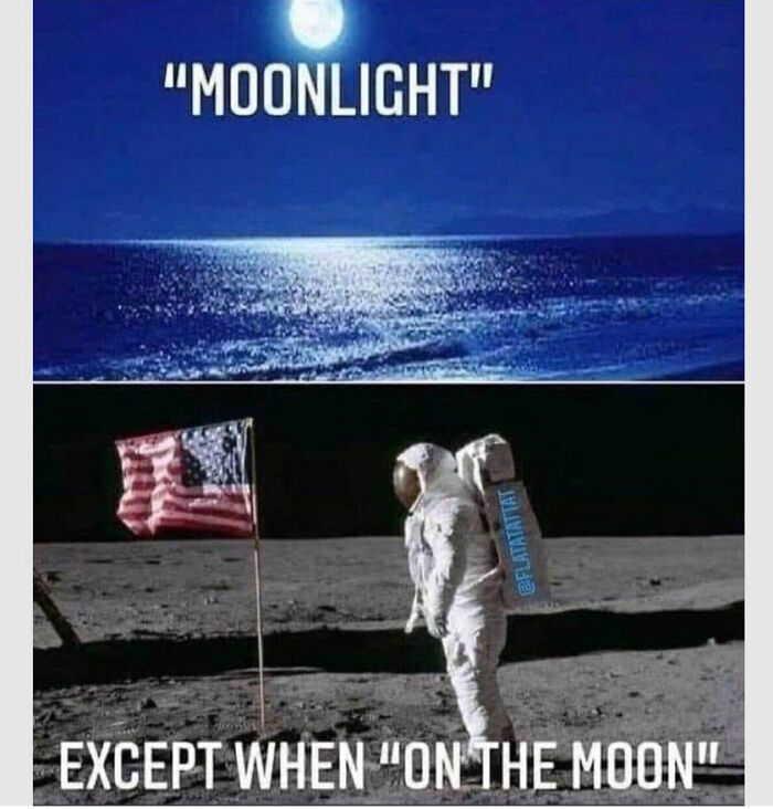 Meme comparing moonlight over the ocean with an astronaut on the moon, highlighting humor in memes shared online.