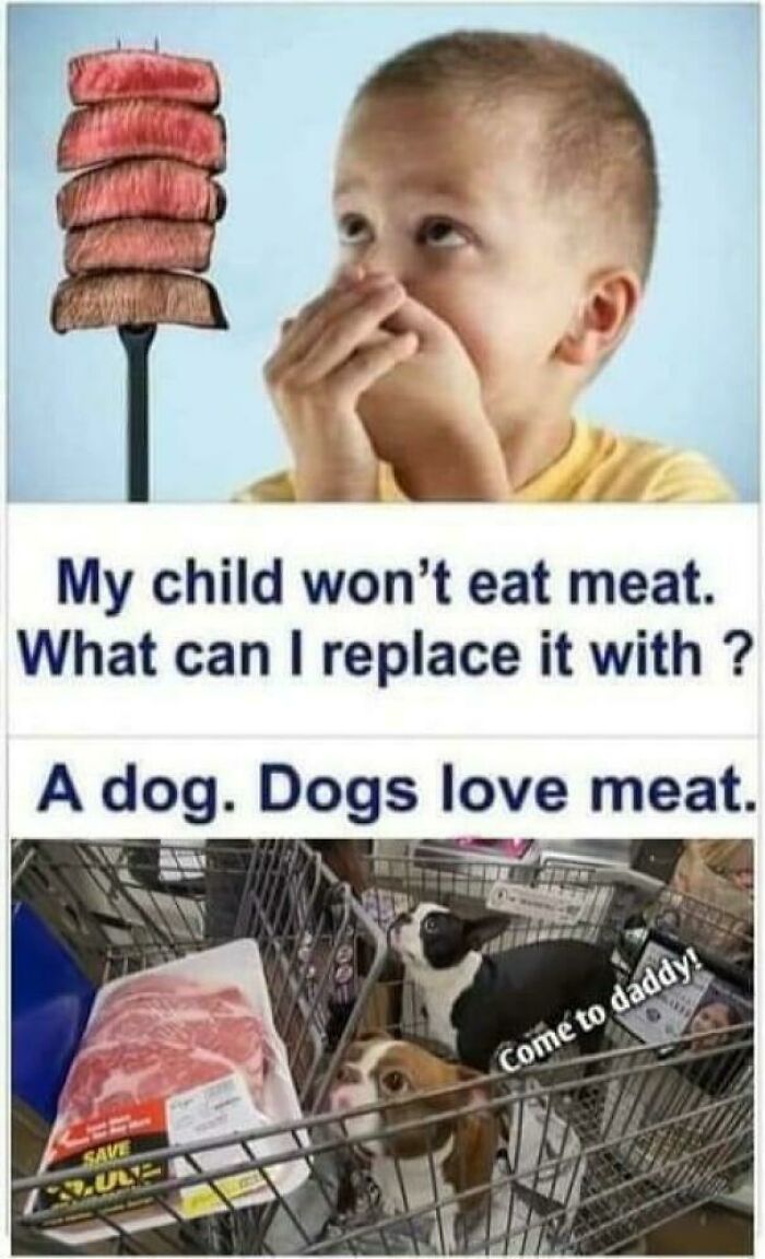 Child covering nose near meat skewer and shopping cart with dogs and raw meat, showing memes about meat replacement.