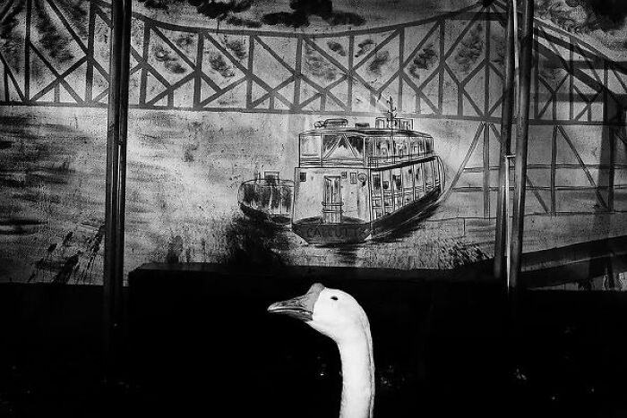 Black-and-white photo of a street mural depicting a ship with a white goose in the foreground in India.
