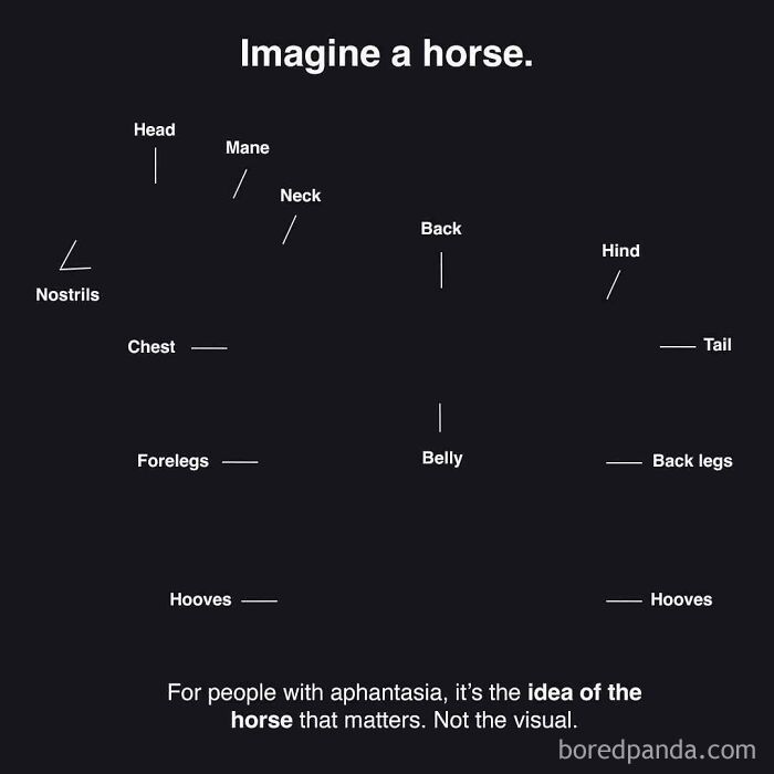 Minimalist horse diagram illustrating how the human mind works, focusing on the concept rather than the visual details.