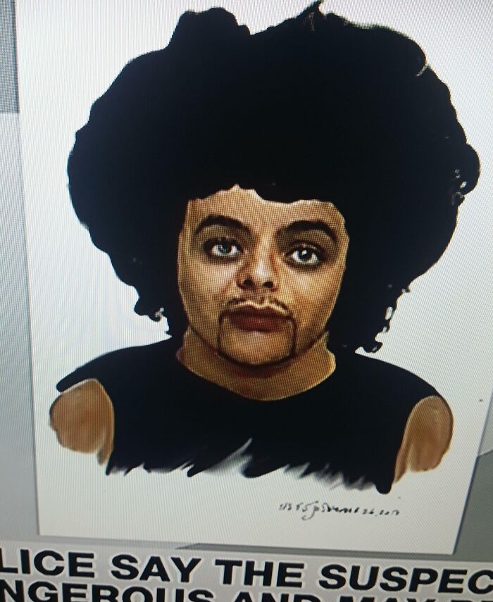 Police sketch with exaggerated features and large hair resembling a poorly drawn caricature in a humorous style.