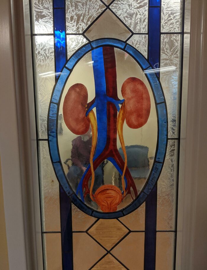 Stained glass window featuring human kidneys and urinary system, showcasing a wholesome doctor design to put patients at ease.