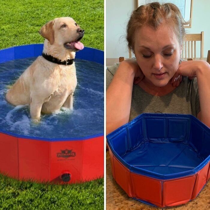 Dog sitting happily in a large pet pool versus a woman looking disappointed at a tiny pool after careless online shopping.