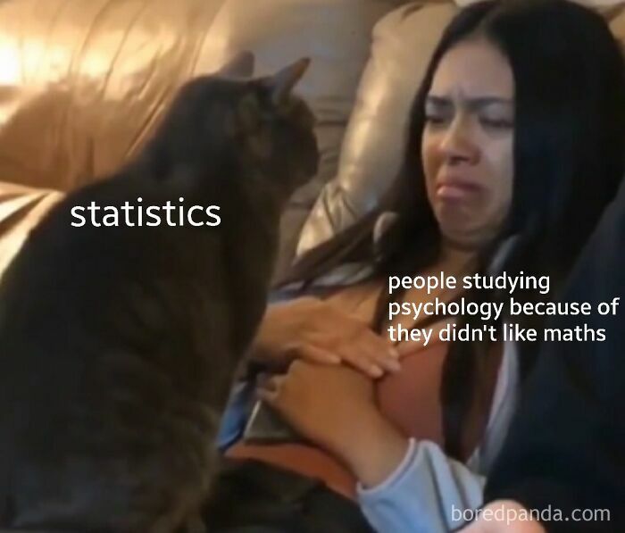 A woman grimacing at a cat labeled statistics, illustrating psychology memes about challenges in the human mind.