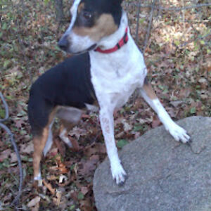 derricsaville avatar