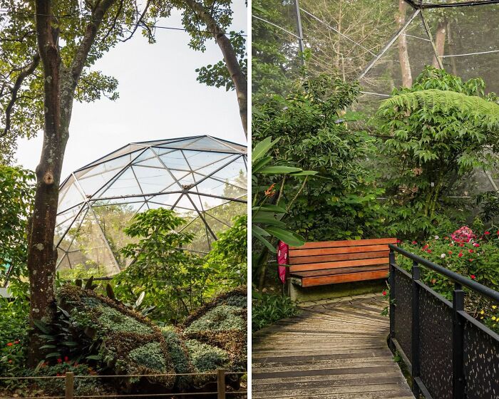 Famous gardens featuring a secluded wooden bench, lush greenery, and a geodesic glass dome surrounded by trees.
