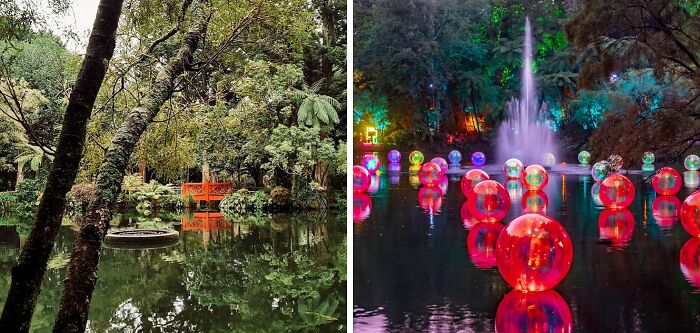 Lush famous gardens with a reflective pond and colorful illuminated spheres around a night fountain display.