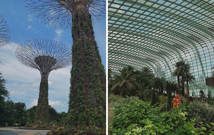 Two photos of famous gardens featuring towering plant-covered structures and a large glass greenhouse filled with lush greenery.