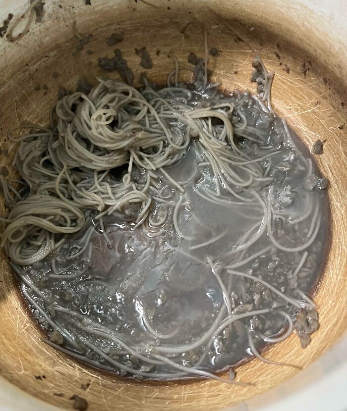 Close-up of a bowl containing grayish, slimy noodles with murky liquid, showcasing cursed and disgusting food.