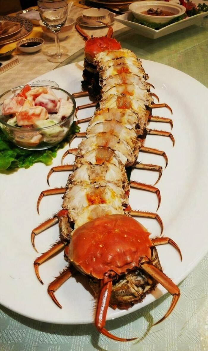 Centipede-like crustacean food served on a white plate with a side of creamy salad, showcasing cursed and disgusting pictures of food.