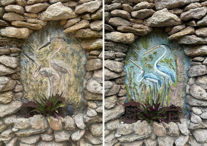 Before and after restoration of a stone wall mural featuring two birds, showcasing landlord special property improvement.