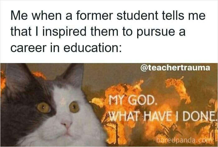 Cat with shocked expression in front of fiery background expressing funny teacher meme about inspiration in education