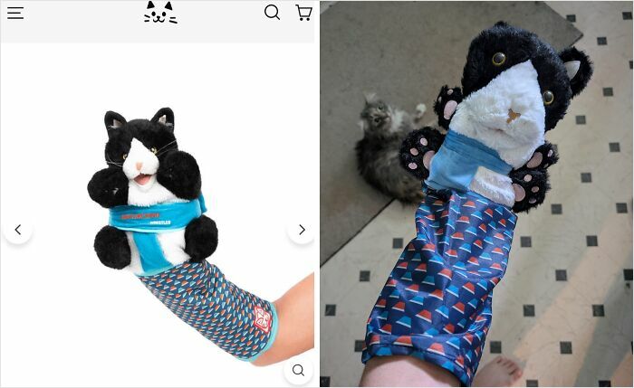 Plush cat hand puppet purchased online versus the actual product showing a poor online shopping fail.