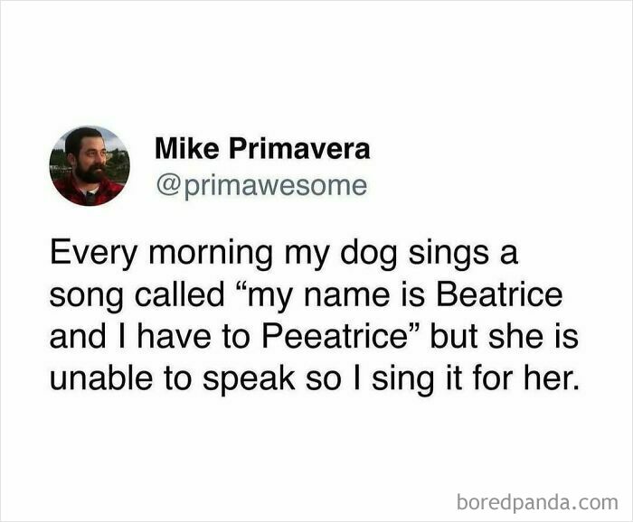 Tweet from Mike Primavera sharing a hilarious prime awesome moment about singing for his dog every morning.