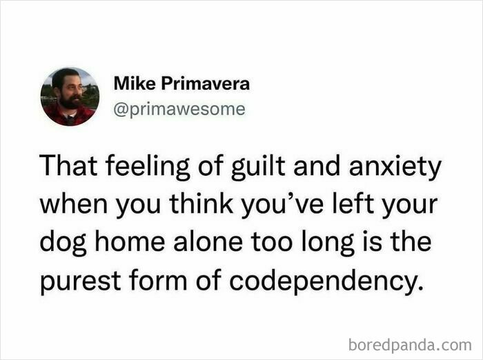 Tweet about guilt and anxiety from leaving a dog alone, featured in hilarious Prime Awesome tweets collection.