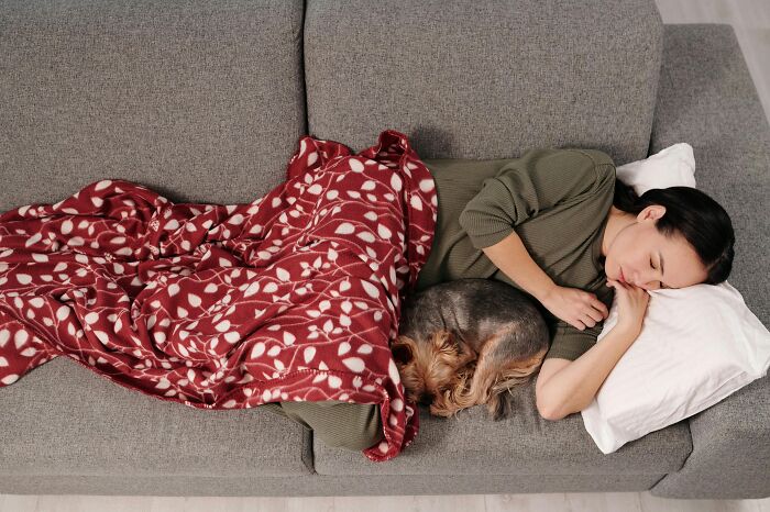 Woman resting on a couch with a dog under a blanket, illustrating frustration with over-the-top workplace rules.