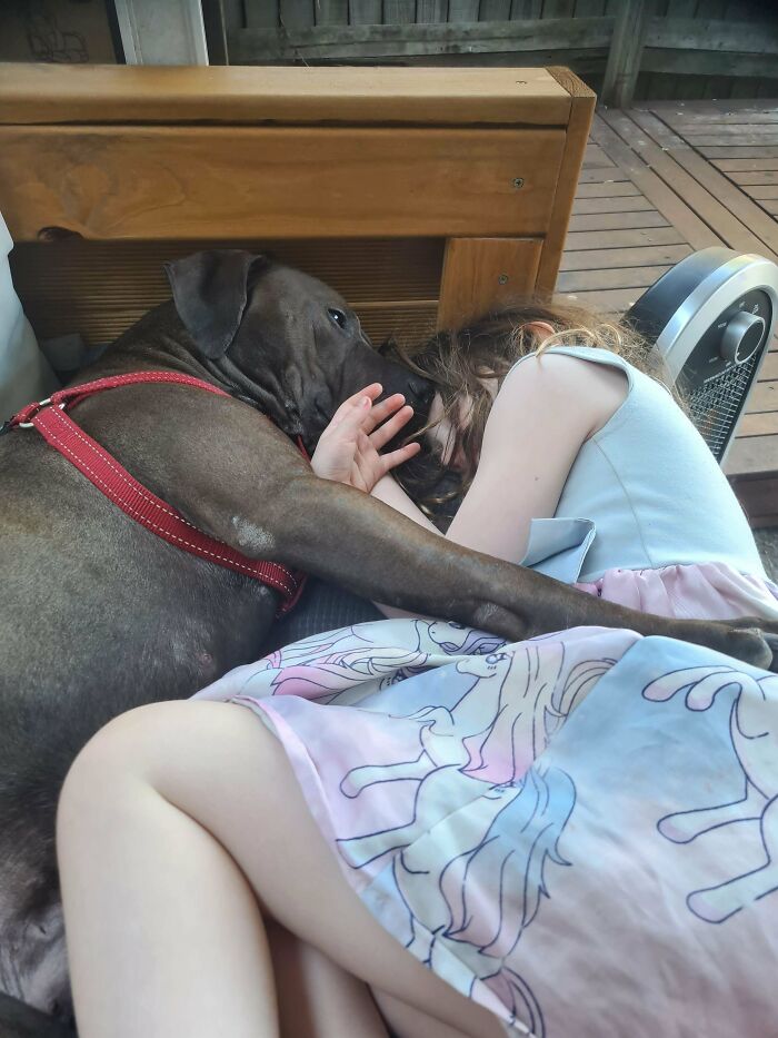 Adopted dog and child cuddling closely on a wooden deck, capturing soul-soothing moments of pets and affection.