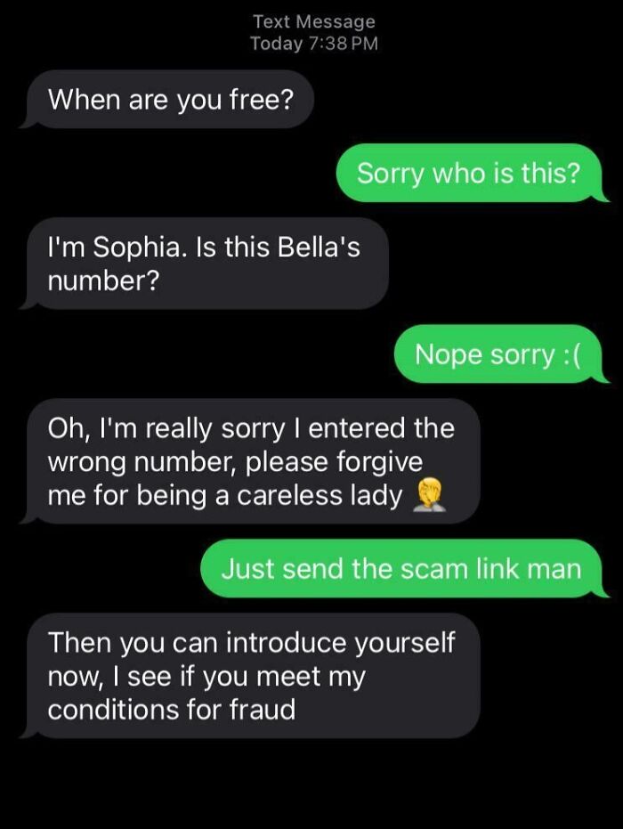 Text message exchange showing a witty response exposing a scammer’s attempt in a conversation about fraud and scam links.