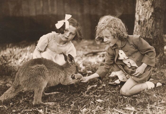 Two young girls feeding a kangaroo outdoors, capturing a charming moment for World Kangaroo Day facts.