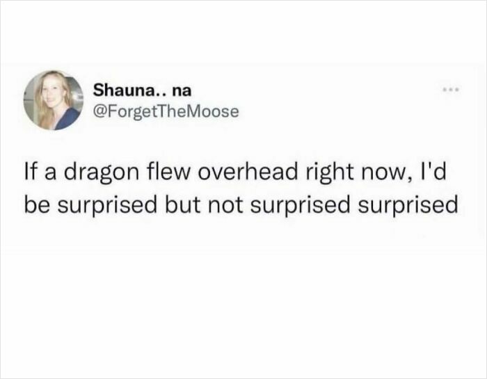 Tweet by user ForgetTheMoose humorously stating being surprised but not surprised if a dragon flew overhead, from really dumb tweets.