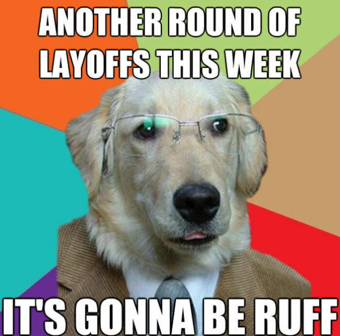 Dog wearing glasses and a suit with a meme about layoffs, using humor related to getting laid off and job loss.