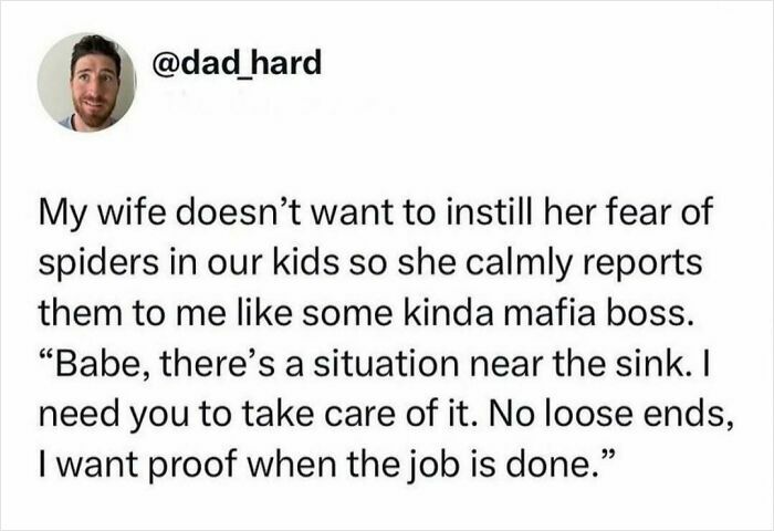 Tweet about wife reporting spiders like a mafia boss, showcasing really dumb tweets that make you laugh or lose faith in humanity.
