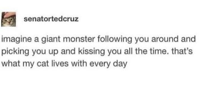 Cat meme describing a giant monster picking you up and kissing you, humorously illustrating a cat's daily life experience.