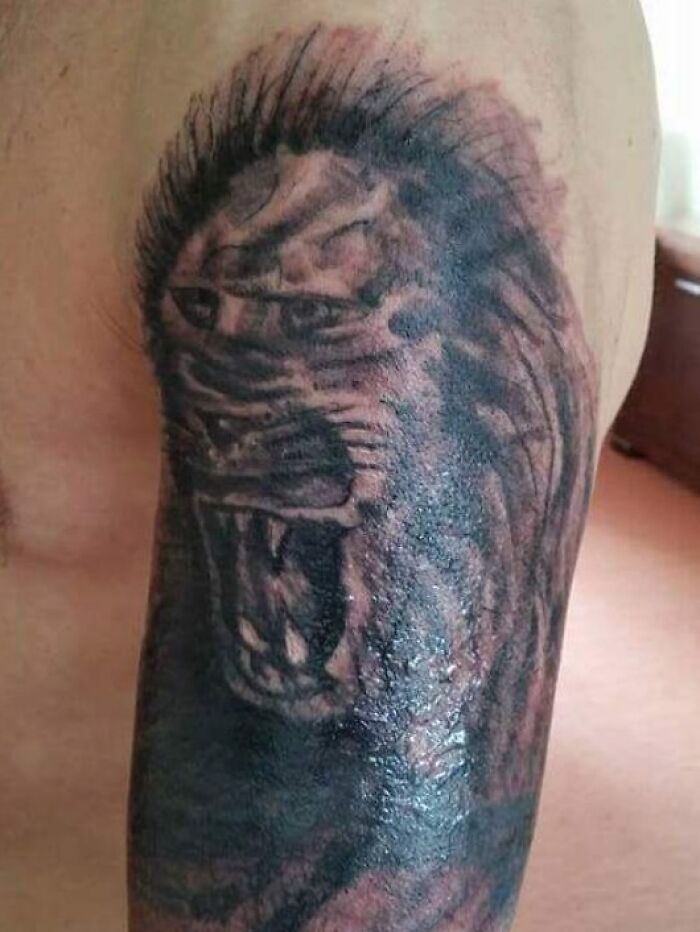 Black and gray tattoo fail of a distorted roaring lion on the upper arm, showcasing epic tattoo fails shared by folks.