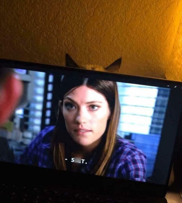 Cat ears barely visible behind a laptop screen, blending seamlessly into the background on a textured yellow wall.