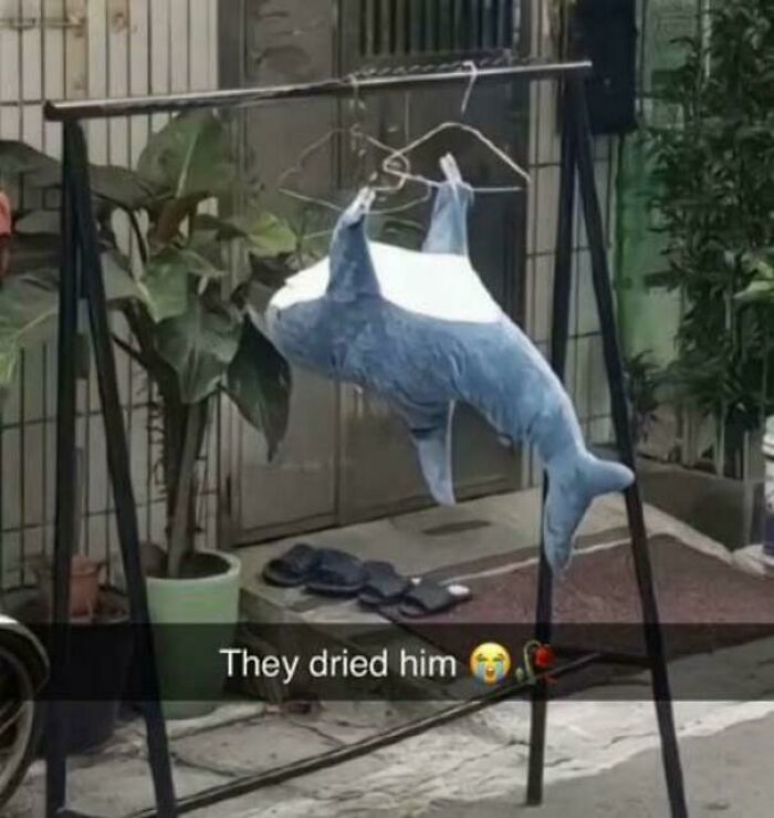 Plush dolphin hanging on a clothes rack drying outdoors, funny picture that goes hard and makes people chuckle.