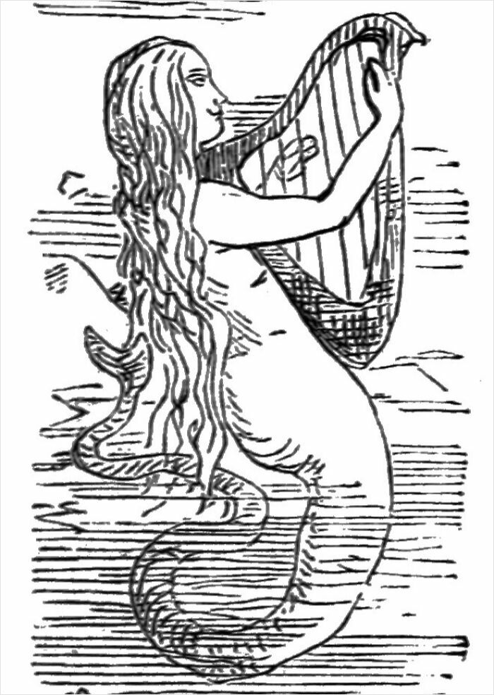Black and white illustration of a mermaid playing a harp, depicting bizarre and fascinating things that happened in the ocean.