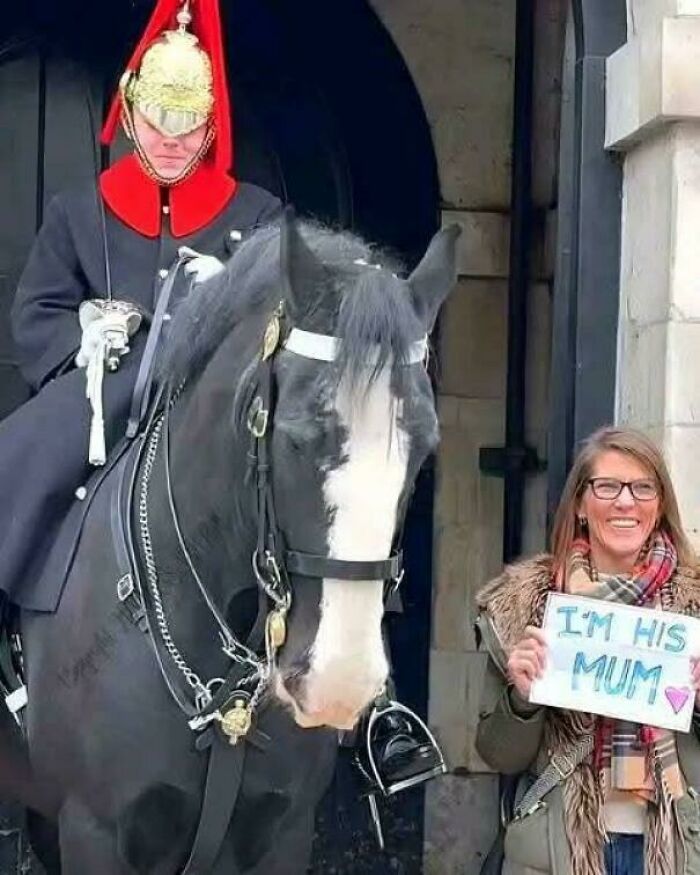 A woman smiling next to a mounted guard and horse holding a sign, humorous pictures that go hard making people chuckle.