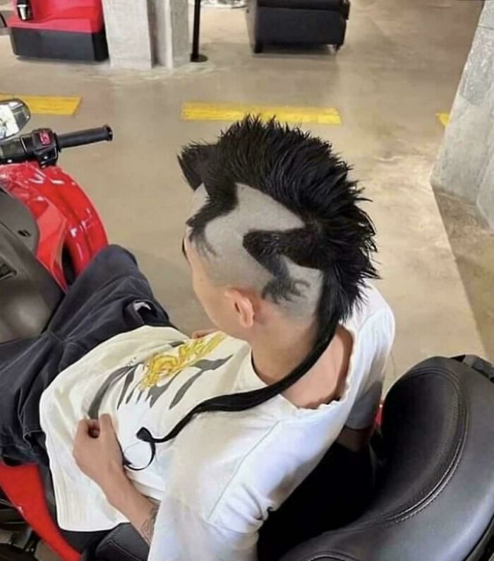 Unique hairstyle with a lizard design and mohawk, showing one of the funniest pictures that go hard and make people chuckle.