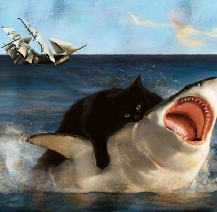 Black cat riding a shark in the ocean near a sailing ship, a humorous picture that goes hard and makes people chuckle.