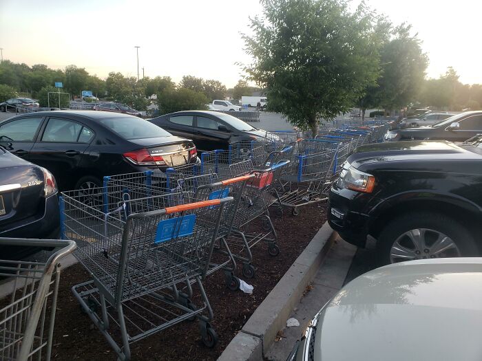 Shopping carts lined up in a Walmart parking lot during sunset, illustrating everyday scenes people of Walmart encounter.