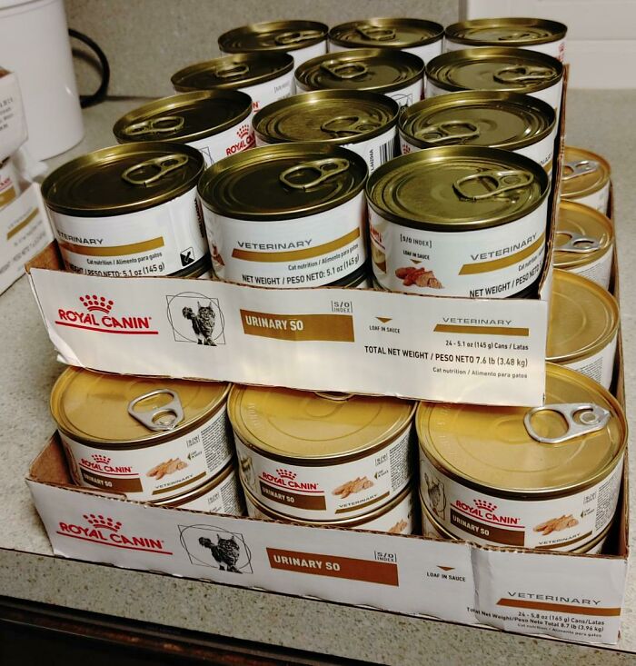 Multiple packs of Royal Canin cat food cans stacked on a counter illustrating examples of sneakflation in products.