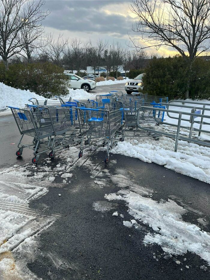 Walmart shopping carts scattered chaotically on a snowy parking lot near parked cars and leafless trees at dusk.