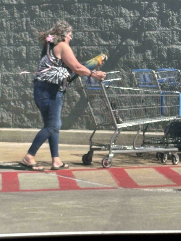 Woman pushing a shopping cart with a colorful parrot perched on it outside Walmart in a parking lot setting.