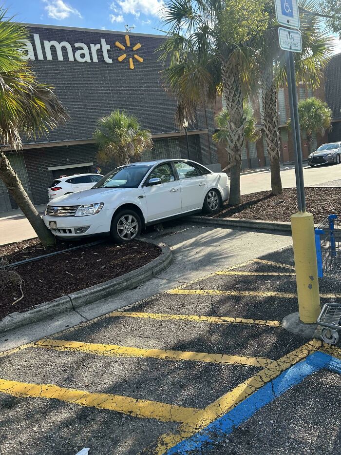 White car crashed into tree in Walmart parking lot with palm trees and handicap parking space in foreground.