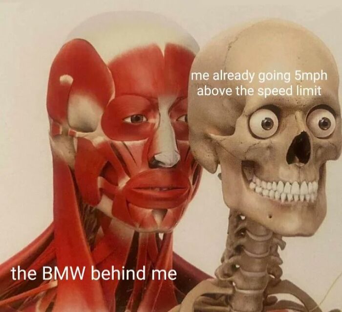 Human muscle anatomy model labeled the BMW behind me looks intensely at a wide-eyed skeleton labeled me going 5mph above speed limit, illustrating road rage.